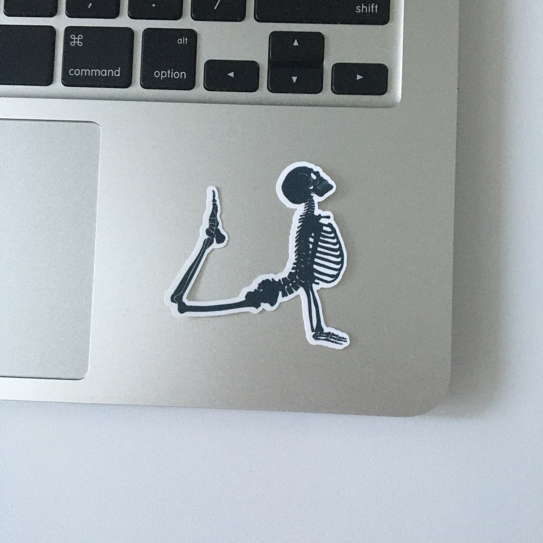 Cobra - Sticker